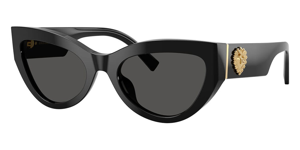 Dolce&Gabbana DG4536