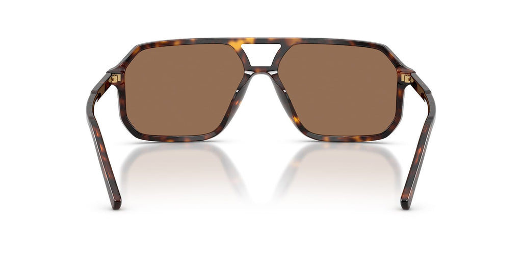 Dolce&Gabbana DG4541