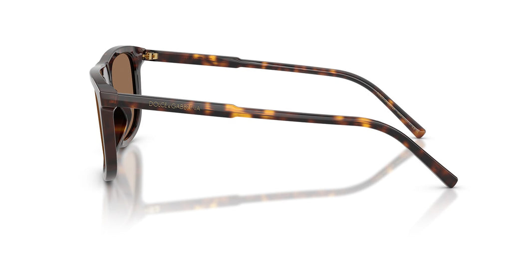 Dolce&Gabbana DG4542