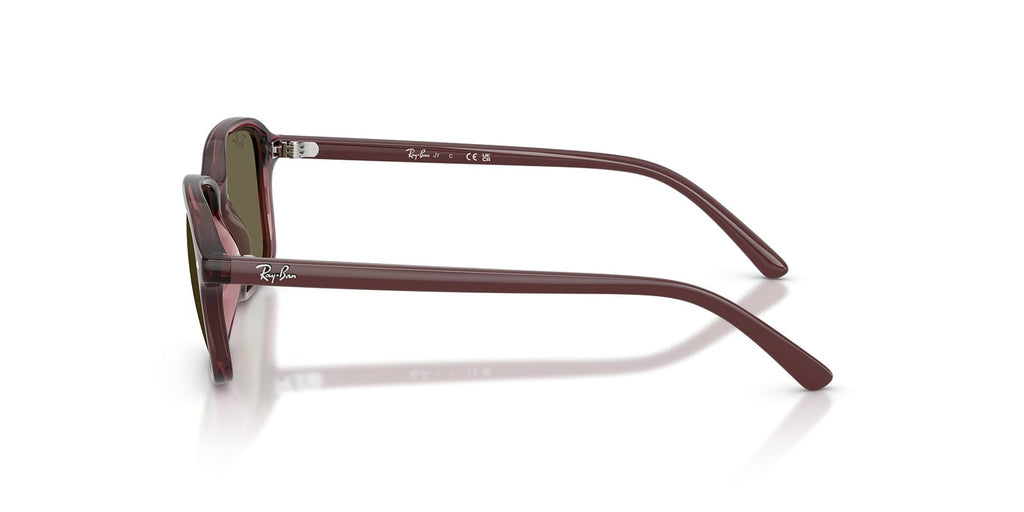 Ray-Ban RJ9131S