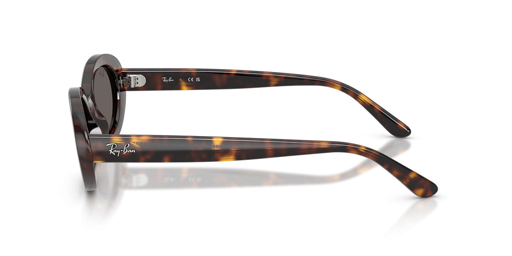 Ray-Ban RB2223