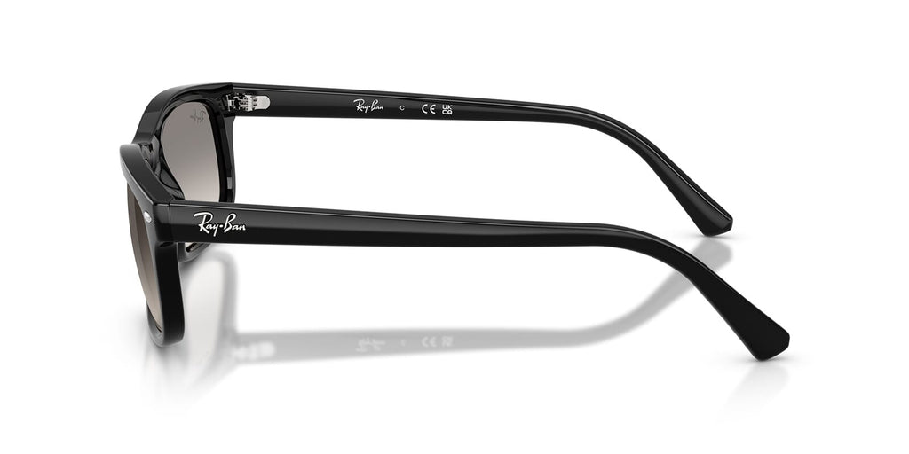 Ray-Ban RB2224