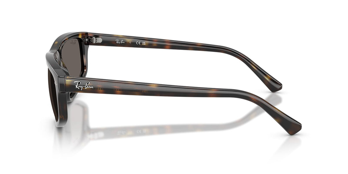 Ray-Ban RB2225
