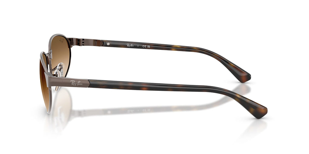 Ray-Ban RB3777