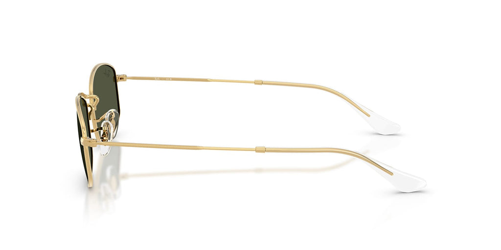Ray-Ban RB3832
