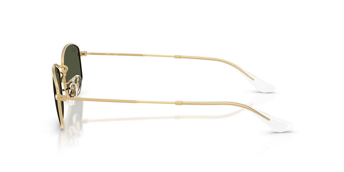 Ray-Ban RB3832