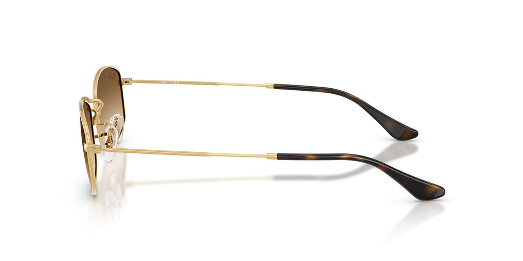 Ray-Ban RB3832