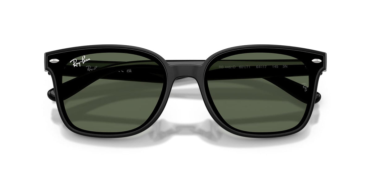 Ray-Ban RB4461D