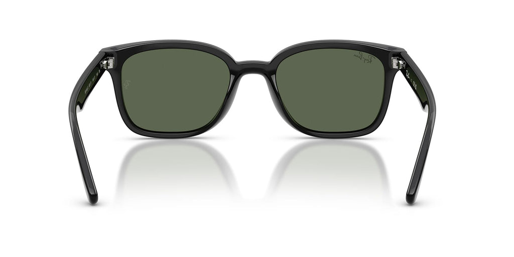 Ray-Ban RB4461D