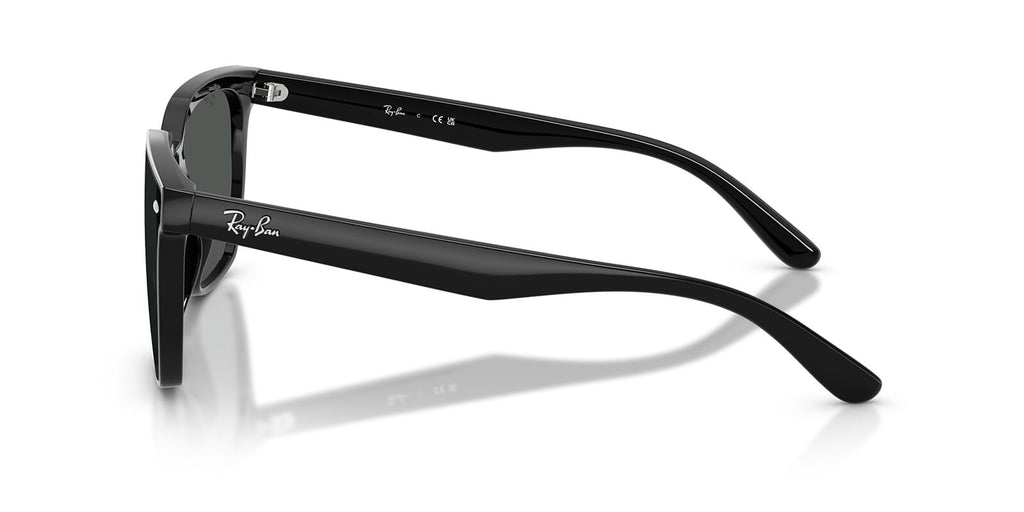 Ray-Ban RB4466D
