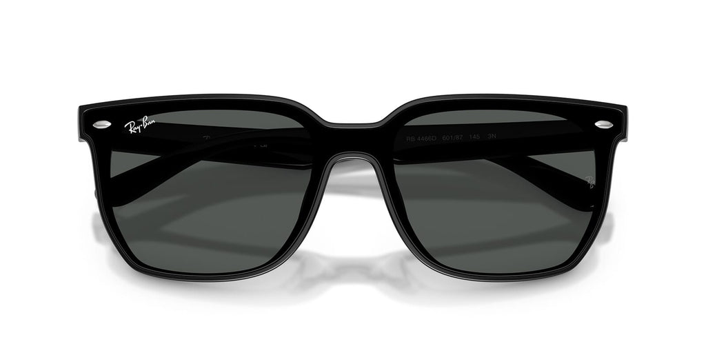 Ray-Ban RB4466D