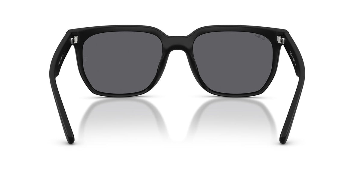 Ray-Ban RB4466D