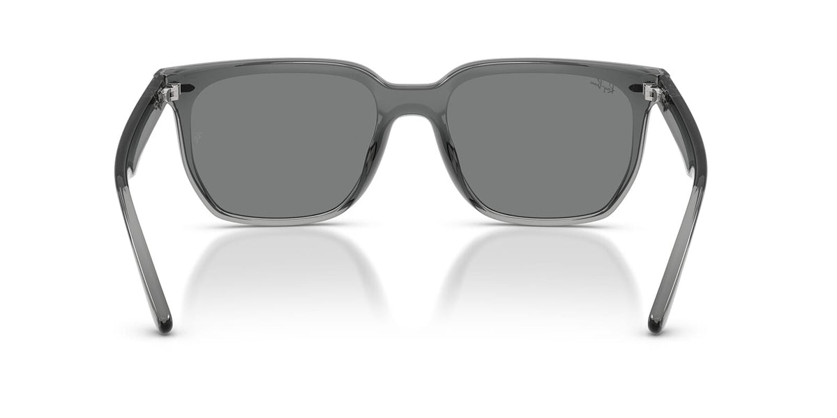Ray-Ban RB4466D