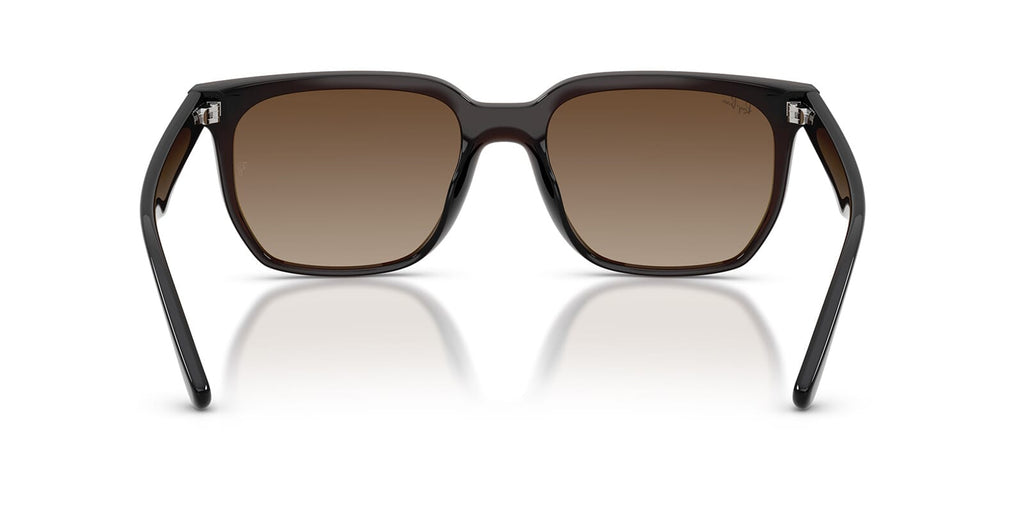 Ray-Ban RB4466D
