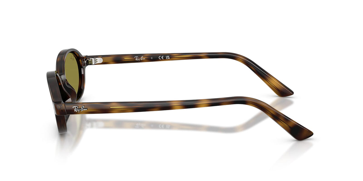 Ray-Ban RB4472