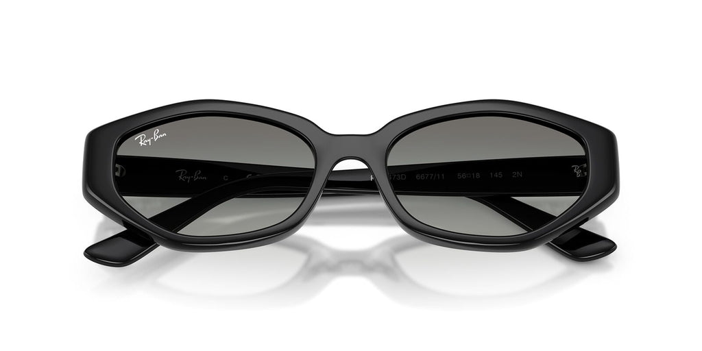 Ray-Ban RB4473D