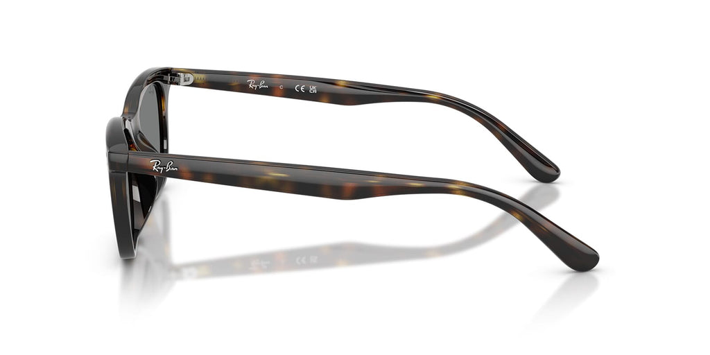 Ray-Ban RB4474D