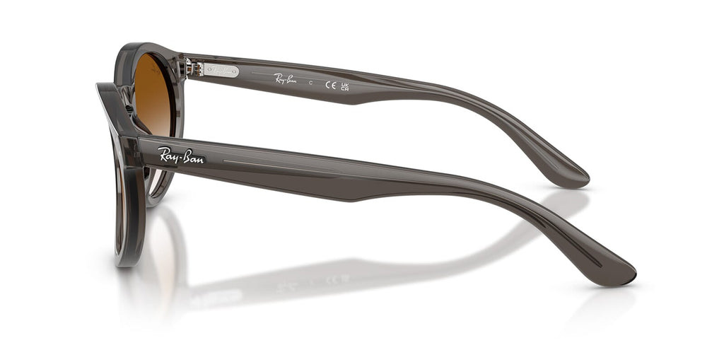 Ray-Ban RBR0505S