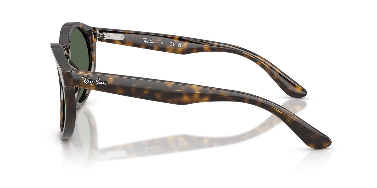 Ray-Ban RBR0505S